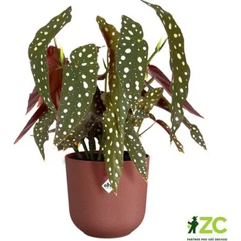 Obal na květináč Obal Jazz - tuscan red 14 cm