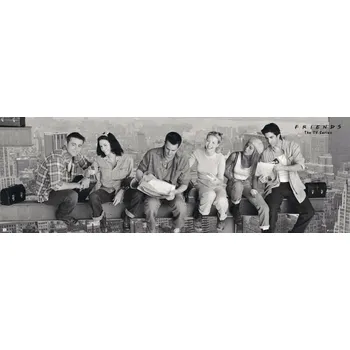 Plakát Plakát na dveře Friends|Přátelé: Skyscraper (53 x 158 cm) 150 g