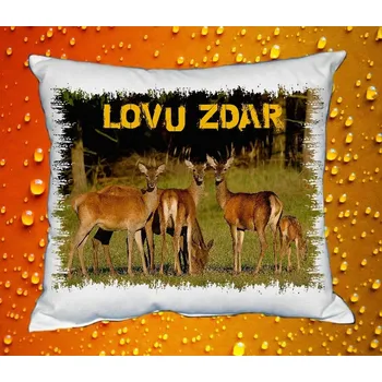 Dekorativní polštářek Polštářek pro myslivce č. 39