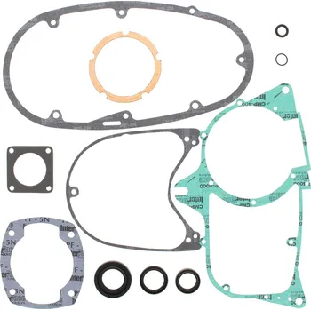 Těsnění motoru Sada těsnění motoru kompletní vč. gufer motoru WINDEROSA CGKOS 811322