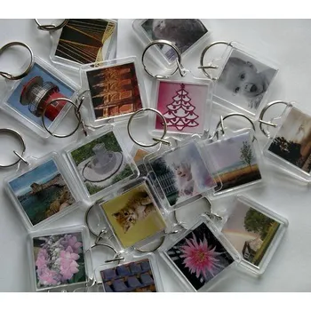 Ceteris Vkládací klíčenka 1 ks průhledná