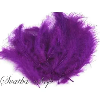 Svatební dekorace Svatba-eshop Dekorační peří fialové 20 ks - ozdobná peříčka