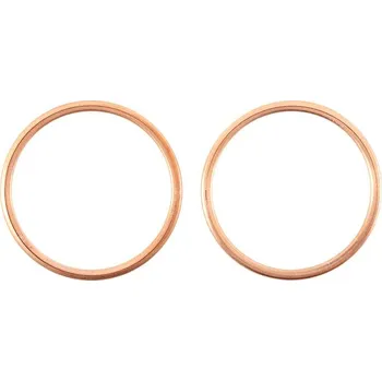 Těsnění motoru Těsnění svodu výfuku sada WINDEROSA EGK 823127