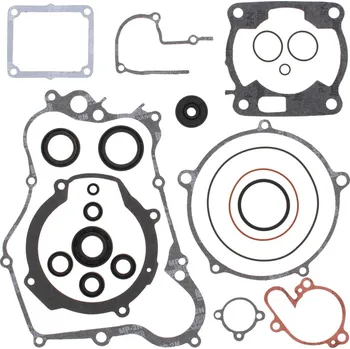 Těsnění motoru Sada těsnění motoru kompletní vč. gufer motoru WINDEROSA CGKOS 811634