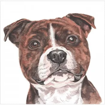 WaggyDogz Přání 01043 - 16x16cm - Staffordshire Bull Terrier