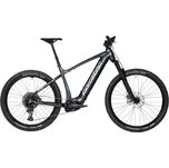 Elektrokolo Corratec E-Power X-Vert Factory CX 7 Dark Gray/Silver 49 2024