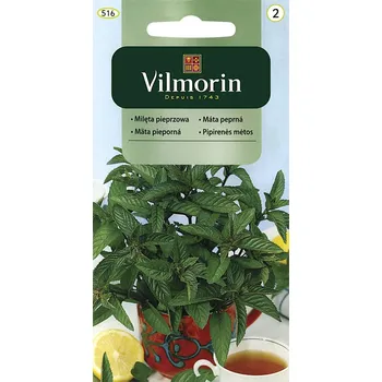 Semeno Máta peprná Vilmorin Classic