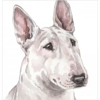 WaggyDogz Přání 01063 - 16x16cm - English Bull Terrier