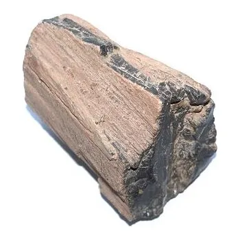 Drahý kámen ARAUKARIT (zkamenělé dřevo) 2.