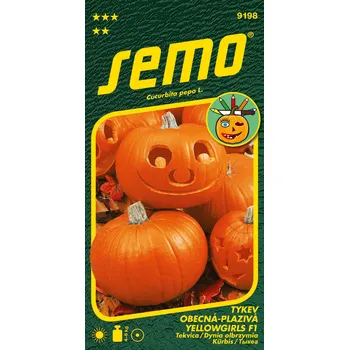 Semeno Semo Tykev okrasná - Yellowgirls F1 3g - série K DEKORACI