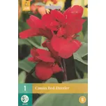 JUB Holland Dosna Red Dazzler 1 ks