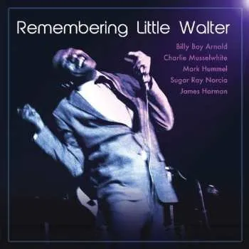 Zahraniční hudba CD Various: Remembering Little Walter 2013