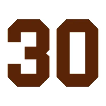 Polep vozidla Startovní číslo 30 (15 - hnědá) SAMOLEPKA NA AUTO, NÁLEPKA, FÓLIE, POLEP, TUNING, VLASTNÍ TEXT, TISK, AUTOSAMOLEPKY.cz, POLEPY, OBRÁZEK, LOGO, 3D STICKERS