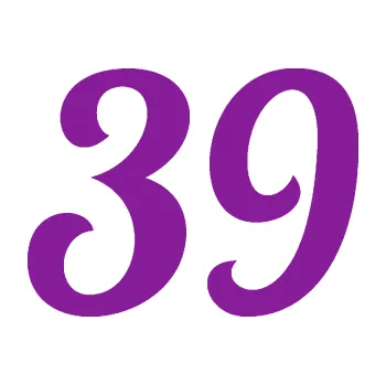 Polep vozidla Startovní číslo 39 typ 3 (14 - fialová) SAMOLEPKA NA AUTO, NÁLEPKA, FÓLIE, POLEP, TUNING, VLASTNÍ TEXT, TISK, AUTOSAMOLEPKY.cz, POLEPY, OBRÁZEK, LOGO, 3D STICKERS