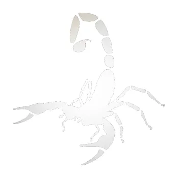 Polep vozidla SAMOLEPKA Štír 018 levá (82 - odrazková reflexní bílá) NA AUTO, NÁLEPKA, FÓLIE, POLEP, TUNING, VLASTNÍ TEXT, TISK, AUTOSAMOLEPKY.cz, POLEPY, OBRÁZEK, LOGO, SAMOLEPKY