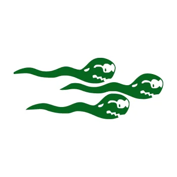 Samolepicí dekorace na vozidlo Spermie pravá (20 - tmavě zelená) SAMOLEPKA NA AUTO, NÁLEPKA, FÓLIE, POLEP, TUNING, VLASTNÍ TEXT, TISK, AUTOSAMOLEPKY.cz, POLEPY, OBRÁZEK, LOGO, 3D STICKERS