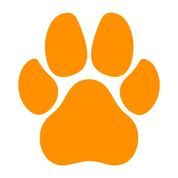 samolepka Tlapka 008 (06 - oranžová) SAMOLEPKA NA AUTO, NÁLEPKA, FÓLIE, POLEP, TUNING, VLASTNÍ TEXT, TISK, AUTOSAMOLEPKY.cz, POLEPY, OBRÁZEK, LOGO, 3D STICKERS