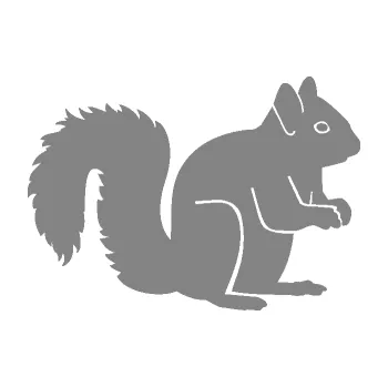 Samolepící dekorace SAMOLEPKA Veverka 001 pravá (17 - šedá) NA AUTO, NÁLEPKA, FÓLIE, POLEP, TUNING, VLASTNÍ TEXT, TISK, AUTOSAMOLEPKY.cz, POLEPY, OBRÁZEK, LOGO, SAMOLEPKY