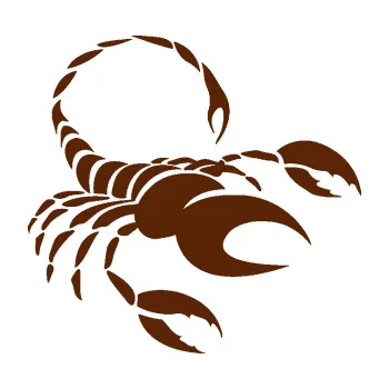 Samolepící dekorace Štír zvěrokruh 002 pravá (15 - hnědá) SAMOLEPKA NA AUTO, NÁLEPKA, FÓLIE, POLEP, TUNING, VLASTNÍ TEXT, TISK, AUTOSAMOLEPKY.cz, POLEPY, OBRÁZEK, LOGO, 3D STICKERS