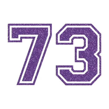 Polep vozidla Startovní číslo 73 typ 4 (87 - Ultra Metalic fialová) SAMOLEPKA NA AUTO, NÁLEPKA, FÓLIE, POLEP, TUNING, VLASTNÍ TEXT, TISK, AUTOSAMOLEPKY.cz, POLEPY, OBRÁZEK, LOGO, 3D STICKERS