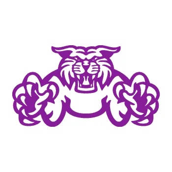 Polep vozidla SAMOLEPKA Tygr 006 (14 - fialová) NA AUTO, NÁLEPKA, FÓLIE, POLEP, TUNING, VLASTNÍ TEXT, TISK, AUTOSAMOLEPKY.cz, POLEPY, OBRÁZEK, LOGO, SAMOLEPKY