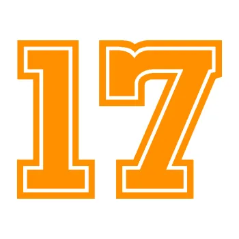 Polep vozidla Startovní číslo 17 typ 5 (06 - oranžová) SAMOLEPKA NA AUTO, NÁLEPKA, FÓLIE, POLEP, TUNING, VLASTNÍ TEXT, TISK, AUTOSAMOLEPKY.cz, POLEPY, OBRÁZEK, LOGO, 3D STICKERS