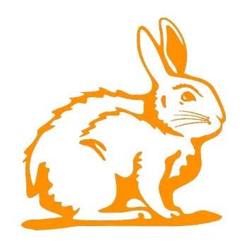 Samolepící dekorace Zajíček 001 pravá (06 - oranžová) SAMOLEPKA NA AUTO, NÁLEPKA, FÓLIE, POLEP, TUNING, VLASTNÍ TEXT, TISK, AUTOSAMOLEPKY.cz, POLEPY, OBRÁZEK, LOGO, 3D STICKERS