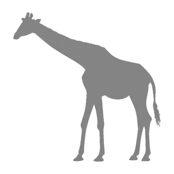 Samolepící dekorace SAMOLEPKA Žirafa 002 levá (17 - šedá) NA AUTO, NÁLEPKA, FÓLIE, POLEP, TUNING, VLASTNÍ TEXT, TISK, AUTOSAMOLEPKY.cz, POLEPY, OBRÁZEK, LOGO, SAMOLEPKY