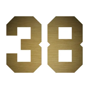 Polep vozidla Startovní číslo 38 (64 - škrábaný kov zlatý) SAMOLEPKA NA AUTO, NÁLEPKA, FÓLIE, POLEP, TUNING, VLASTNÍ TEXT, TISK, AUTOSAMOLEPKY.cz, POLEPY, OBRÁZEK, LOGO, 3D STICKERS