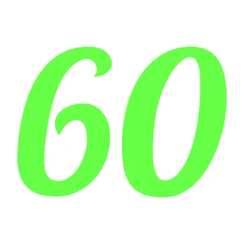 Polep vozidla Startovní číslo 60 typ 3 (71 - Fluorescentní zelená) SAMOLEPKA NA AUTO, NÁLEPKA, FÓLIE, POLEP, TUNING, VLASTNÍ TEXT, TISK, AUTOSAMOLEPKY.cz, POLEPY, OBRÁZEK, LOGO, 3D STICKERS