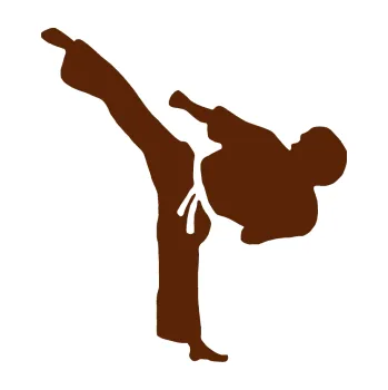 Polep vozidla Taekwondo 001 levá (15 - hnědá) SAMOLEPKA NA AUTO, NÁLEPKA, FÓLIE, POLEP, TUNING, VLASTNÍ TEXT, TISK, AUTOSAMOLEPKY.cz, POLEPY, OBRÁZEK, LOGO, 3D STICKERS
