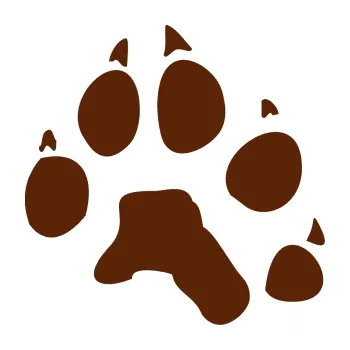 Samolepící dekorace SAMOLEPKA Tlapka 003 pravá (15 - hnědá) NA AUTO, NÁLEPKA, FÓLIE, POLEP, TUNING, VLASTNÍ TEXT, TISK, AUTOSAMOLEPKY.cz, POLEPY, OBRÁZEK, LOGO, SAMOLEPKY