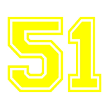 Polep vozidla Startovní číslo 51 typ 4 (05 - žlutá citron) SAMOLEPKA NA AUTO, NÁLEPKA, FÓLIE, POLEP, TUNING, VLASTNÍ TEXT, TISK, AUTOSAMOLEPKY.cz, POLEPY, OBRÁZEK, LOGO, 3D STICKERS