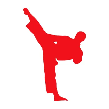 Polep vozidla SAMOLEPKA Taekwondo 002 levá (10 - červená) NA AUTO, NÁLEPKA, FÓLIE, POLEP, TUNING, VLASTNÍ TEXT, TISK, AUTOSAMOLEPKY.cz, POLEPY, OBRÁZEK, LOGO, SAMOLEPKY
