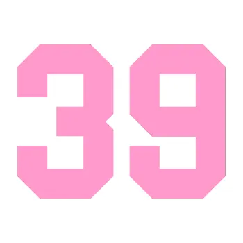 Polep vozidla Startovní číslo 39 (24 - světle růžová) SAMOLEPKA NA AUTO, NÁLEPKA, FÓLIE, POLEP, TUNING, VLASTNÍ TEXT, TISK, AUTOSAMOLEPKY.cz, POLEPY, OBRÁZEK, LOGO, 3D STICKERS