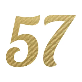 Polep vozidla Startovní číslo 57 typ 3 (59 - 3D karbon zlatý) SAMOLEPKA NA AUTO, NÁLEPKA, FÓLIE, POLEP, TUNING, VLASTNÍ TEXT, TISK, AUTOSAMOLEPKY.cz, POLEPY, OBRÁZEK, LOGO, 3D STICKERS