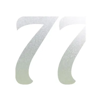 Polep vozidla Startovní číslo 77 typ 3 (60 - pískované sklo) SAMOLEPKA NA AUTO, NÁLEPKA, FÓLIE, POLEP, TUNING, VLASTNÍ TEXT, TISK, AUTOSAMOLEPKY.cz, POLEPY, OBRÁZEK, LOGO, 3D STICKERS