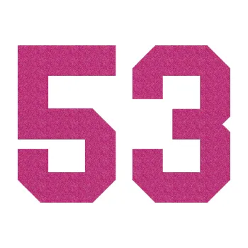 Polep vozidla Startovní číslo 53 (90 - Ultra Metalic růžová) SAMOLEPKA NA AUTO, NÁLEPKA, FÓLIE, POLEP, TUNING, VLASTNÍ TEXT, TISK, AUTOSAMOLEPKY.cz, POLEPY, OBRÁZEK, LOGO, 3D STICKERS