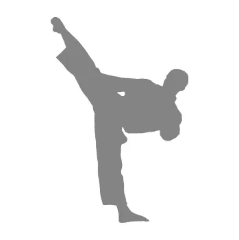 Polep vozidla Taekwondo 002 levá (17 - šedá) SAMOLEPKA NA AUTO, NÁLEPKA, FÓLIE, POLEP, TUNING, VLASTNÍ TEXT, TISK, AUTOSAMOLEPKY.cz, POLEPY, OBRÁZEK, LOGO, 3D STICKERS