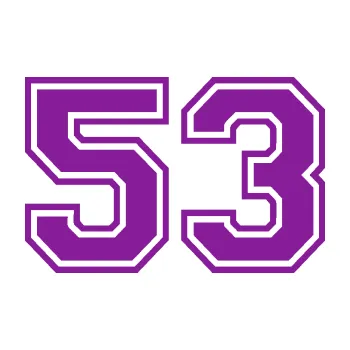 Polep vozidla Startovní číslo 53 typ 4 (14 - fialová) SAMOLEPKA NA AUTO, NÁLEPKA, FÓLIE, POLEP, TUNING, VLASTNÍ TEXT, TISK, AUTOSAMOLEPKY.cz, POLEPY, OBRÁZEK, LOGO, 3D STICKERS
