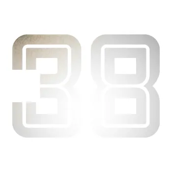 Polep vozidla Startovní číslo 38 typ 7 (82 - odrazková reflexní bílá) SAMOLEPKA NA AUTO, NÁLEPKA, FÓLIE, POLEP, TUNING, VLASTNÍ TEXT, TISK, AUTOSAMOLEPKY.cz, POLEPY, OBRÁZEK, LOGO, 3D STICKERS