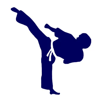 Polep vozidla Taekwondo 001 levá (23 - tmavě modrá) SAMOLEPKA NA AUTO, NÁLEPKA, FÓLIE, POLEP, TUNING, VLASTNÍ TEXT, TISK, AUTOSAMOLEPKY.cz, POLEPY, OBRÁZEK, LOGO, 3D STICKERS