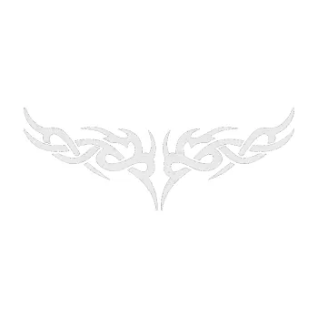 Polep vozidla SAMOLEPKA Tetování 023 (84 - Ultra Metalic bílá) NA AUTO, NÁLEPKA, FÓLIE, POLEP, TUNING, VLASTNÍ TEXT, TISK, AUTOSAMOLEPKY.cz, POLEPY, OBRÁZEK, LOGO, SAMOLEPKY