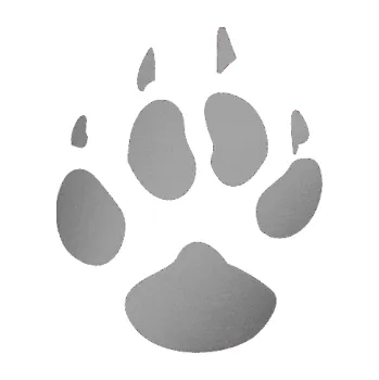 Samolepící dekorace Tlapka 002 levá (42 - stříbrná metalíza) SAMOLEPKA NA AUTO, NÁLEPKA, FÓLIE, POLEP, TUNING, VLASTNÍ TEXT, TISK, AUTOSAMOLEPKY.cz, POLEPY, OBRÁZEK, LOGO, 3D STICKERS