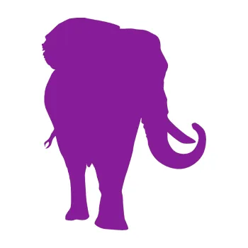 Samolepící dekorace Slon 010 pravá (14 - fialová) SAMOLEPKA NA AUTO, NÁLEPKA, FÓLIE, POLEP, TUNING, VLASTNÍ TEXT, TISK, AUTOSAMOLEPKY.cz, POLEPY, OBRÁZEK, LOGO, 3D STICKERS