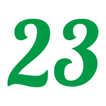 Polep vozidla Startovní číslo 23 typ 3 (12 - zelená) SAMOLEPKA NA AUTO, NÁLEPKA, FÓLIE, POLEP, TUNING, VLASTNÍ TEXT, TISK, AUTOSAMOLEPKY.cz, POLEPY, OBRÁZEK, LOGO, 3D STICKERS