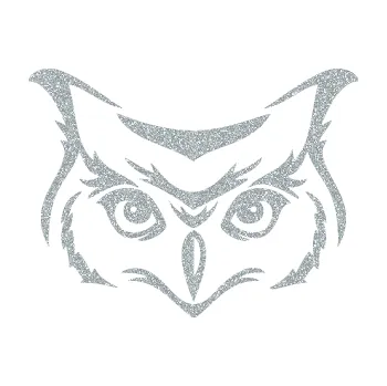 Samolepicí dekorace na vozidlo Sova 002 hlava (91 - Ultra Metalic stříbrná metalíza) SAMOLEPKA NA AUTO, NÁLEPKA, FÓLIE, POLEP, TUNING, VLASTNÍ TEXT, TISK, AUTOSAMOLEPKY.cz, POLEPY, OBRÁZEK, LOGO, 3D STICKERS