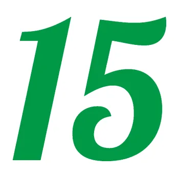 Polep vozidla Startovní číslo 15 typ 3 (12 - zelená) SAMOLEPKA NA AUTO, NÁLEPKA, FÓLIE, POLEP, TUNING, VLASTNÍ TEXT, TISK, AUTOSAMOLEPKY.cz, POLEPY, OBRÁZEK, LOGO, 3D STICKERS