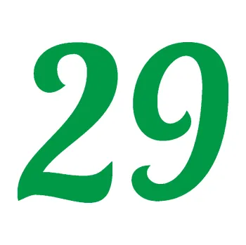 Polep vozidla Startovní číslo 29 typ 3 (12 - zelená) SAMOLEPKA NA AUTO, NÁLEPKA, FÓLIE, POLEP, TUNING, VLASTNÍ TEXT, TISK, AUTOSAMOLEPKY.cz, POLEPY, OBRÁZEK, LOGO, 3D STICKERS