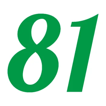 Polep vozidla Startovní číslo 81 typ 3 (12 - zelená) SAMOLEPKA NA AUTO, NÁLEPKA, FÓLIE, POLEP, TUNING, VLASTNÍ TEXT, TISK, AUTOSAMOLEPKY.cz, POLEPY, OBRÁZEK, LOGO, 3D STICKERS